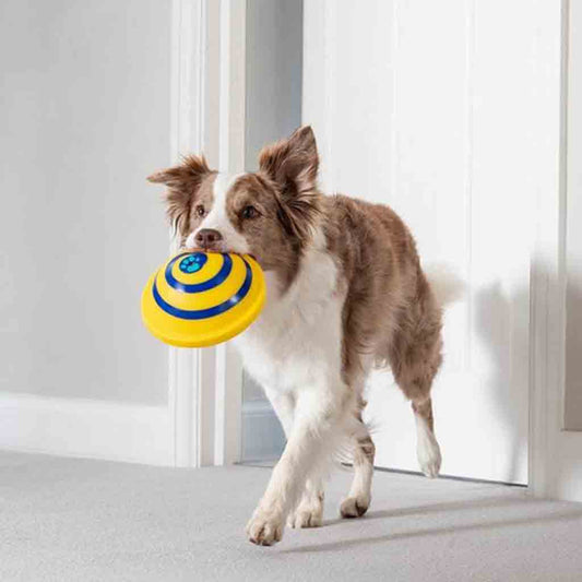 Sounding Disc Woof Glider Soft &amp; Safe Indoor Pet Dogs Play Toy Pets Unique Interacts Entertainment Toys